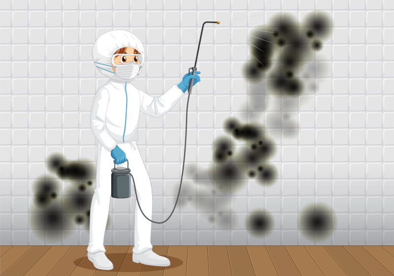 Man in protective hazmat suit cleaning mold on the wall illustration